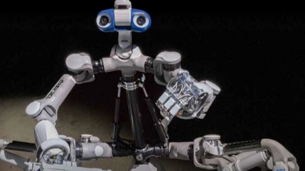 Inspired by nature: The development of the MANTIS robot
